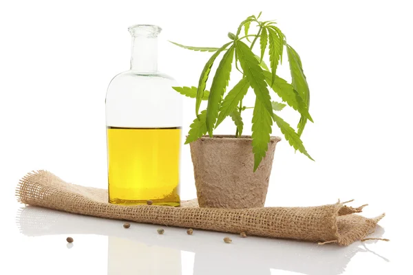 Medical cannabis Stock Photos, Royalty Free Medical cannabis Images |  Depositphotos